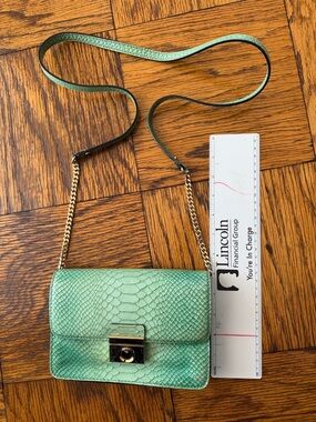 Milly green Snake-Embossed Crossbody with Chain Strap